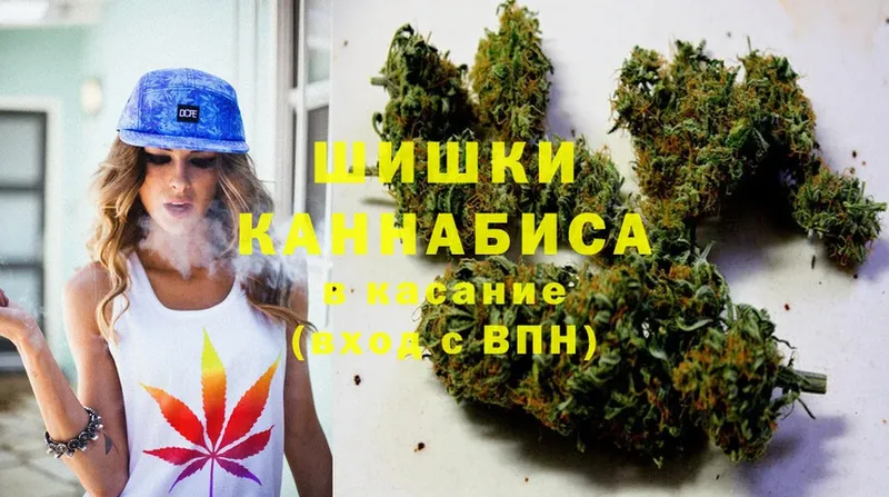 Марихуана SATIVA & INDICA  Павловский Посад 